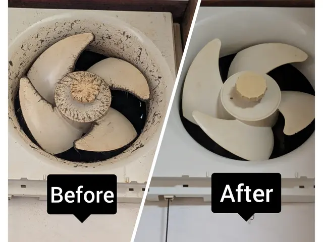 換気扇　プロペラタイプサービスの画像