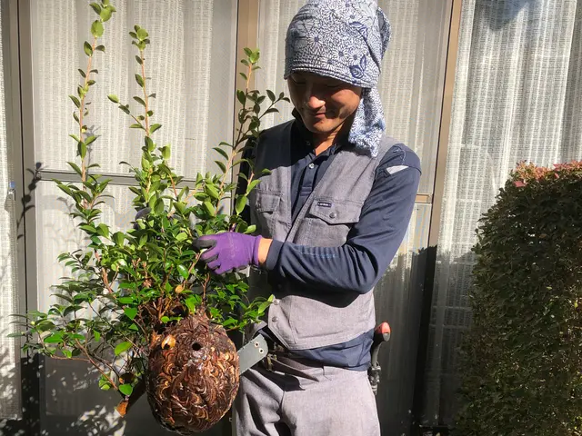 《業歴10年》損保加入済み│女性スタッフ同行可！│お庭のエキスパートがご対応♬サービスの画像