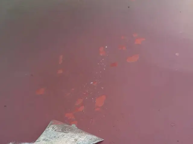 【年中無休】業歴25年の経験と実績！迅速丁寧に仕上げます！当店にお任せくださいサービスの画像