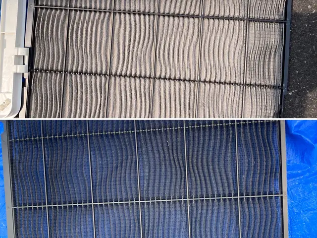 日本初！環境に優しいハウスクリーニング！もちろん身体にも！きれいごとできれいに。サービスの画像