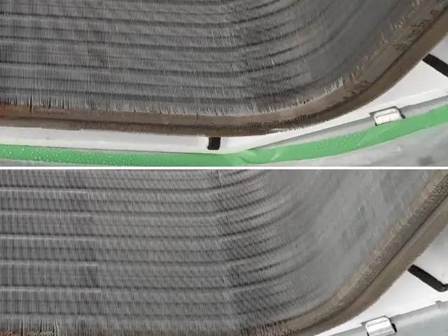 日本初！環境に優しいハウスクリーニング！もちろん身体にも！きれいごとできれいに。サービスの画像