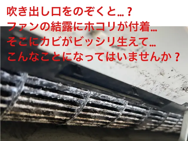 【人柄・丁寧作業】が好評です♡口コミ確認下さい♡消臭抗菌コート無料♡非喫煙者ですサービスの画像