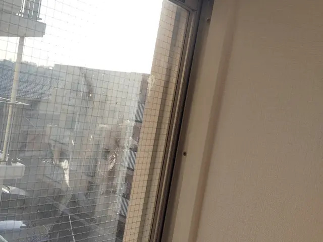 窓枠をシート貼りで綺麗に☆サービスの画像