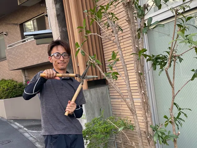 冬囲いやります！サービスの画像