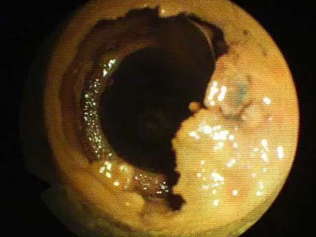 【排水管高圧洗浄】定期的なメンテナンスをお勧めします｜カメラによる配管内点検も可サービスの画像