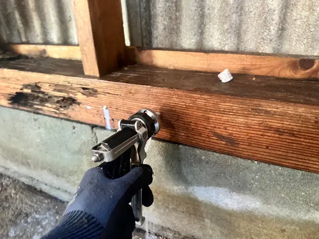 【白蟻駆除歴11年目】【11年目の実績と自信で作業させていただきます】最短対応サービスの画像