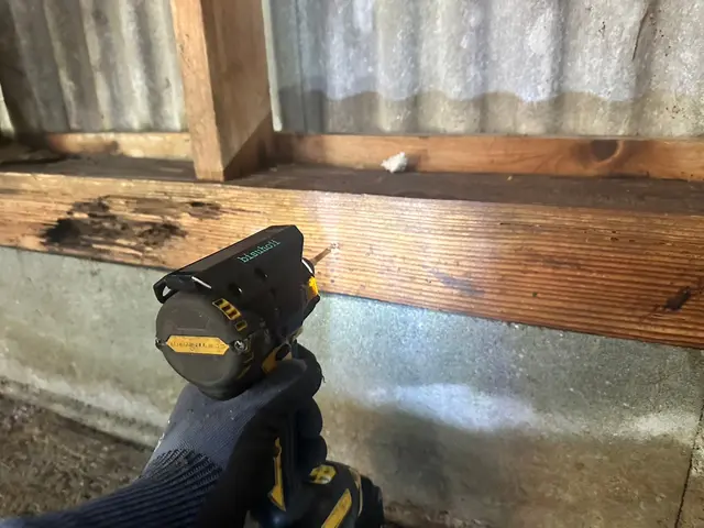 【白蟻駆除歴11年目】【11年目の実績と自信で作業させていただきます】最短対応サービスの画像