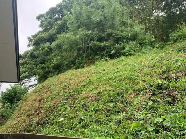 【3年連続顧客満足度賞入選】【業歴25年】草刈り〜庭木剪定等、お任せくださいサービスの画像