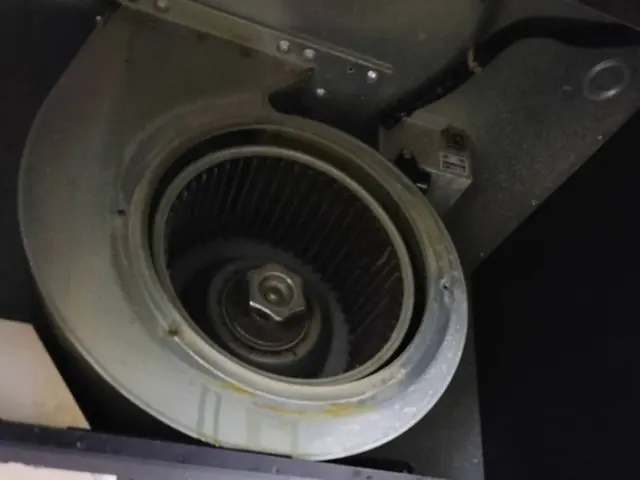 ★女性スタッフ完全同行★　頑固な油汚れもプロ用洗剤でピカピカにします☆彡サービスの画像