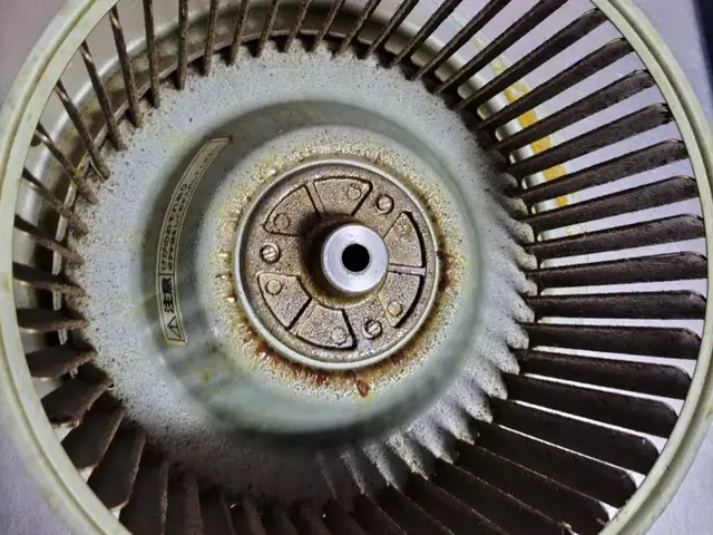 ★女性スタッフ完全同行★　頑固な油汚れもプロ用洗剤でピカピカにします☆彡サービスの画像