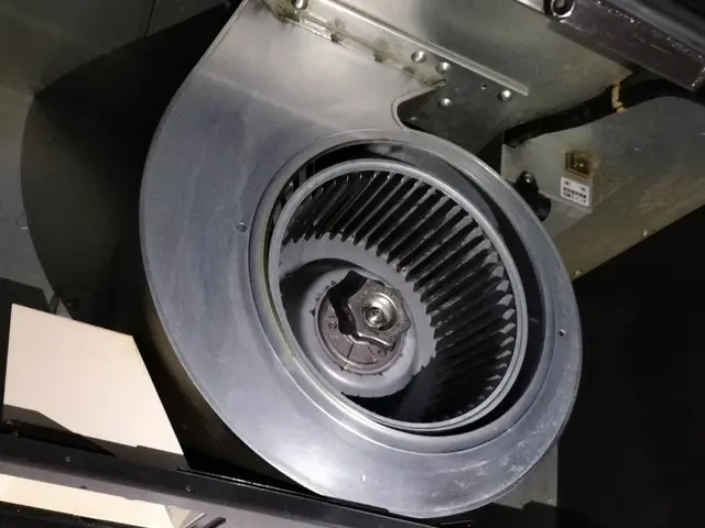 ★女性スタッフ完全同行★　頑固な油汚れもプロ用洗剤でピカピカにします☆彡サービスの画像