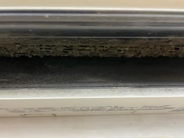 ★除菌消臭コート無料中★全て必ず自社で対応します。外注はございません！サービスの画像