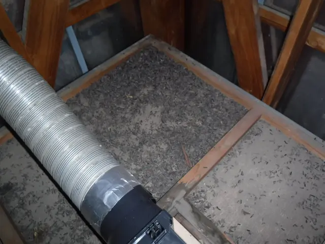 ★群馬県防除業登録業者です★防除作業監督者など多数在籍★㈱住環にお任せください！サービスの画像