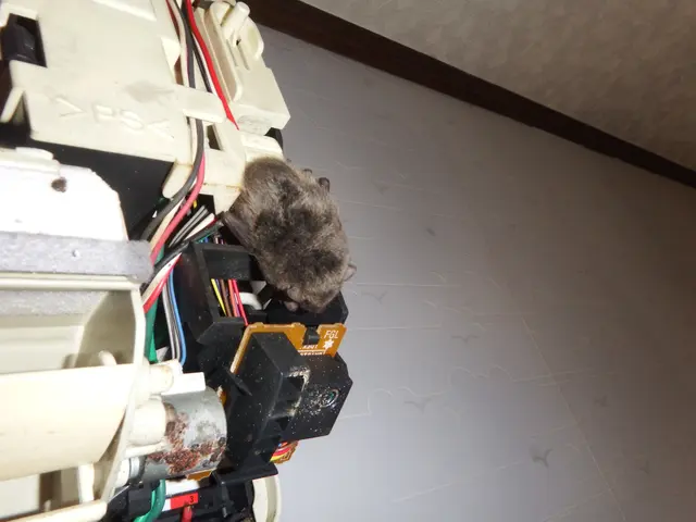 ★群馬県防除業登録業者です★防除作業監督者など多数在籍★㈱住環にお任せください！サービスの画像