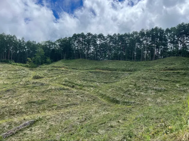 林業にて大規模現場経験豊富　丁寧な仕事を心掛けでいますサービスの画像