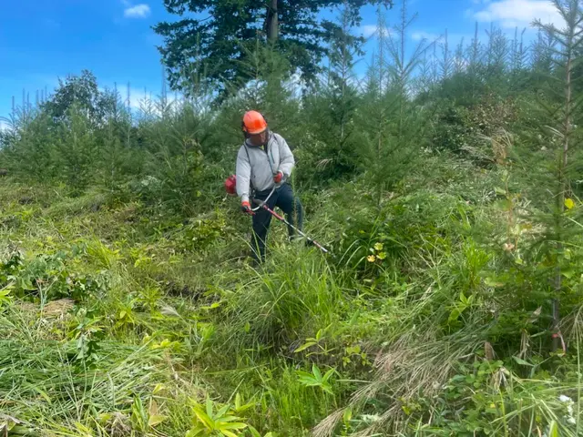 林業にて大規模現場経験豊富　丁寧な仕事を心掛けでいますサービスの画像