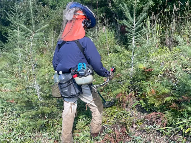 林業にて大規模現場経験豊富　丁寧な仕事を心掛けでいますサービスの画像