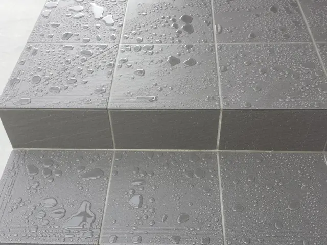 玄関タイルクリーニングサービスの画像