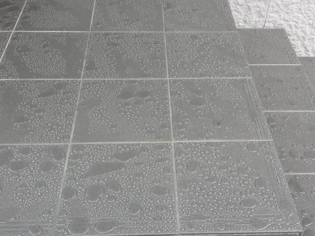 玄関タイルクリーニングサービスの画像