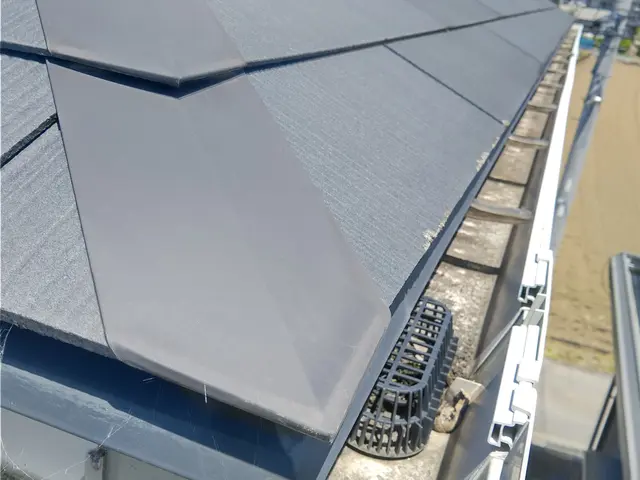 雨樋のつまり清掃除去(修理は別途)サービスの画像