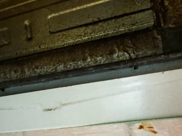 レンジフードの分解洗浄！シロカ迄油汚れを落とします！サービスの画像