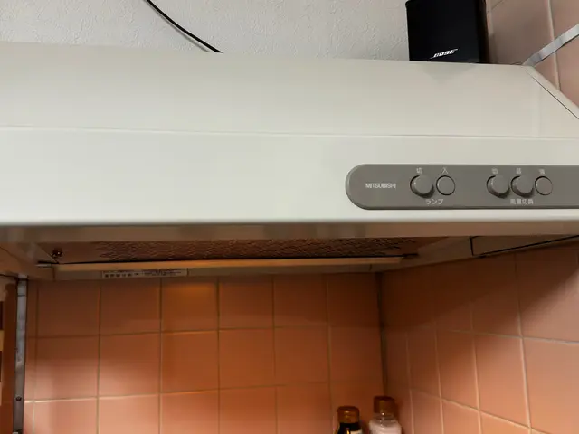 レンジフードの分解洗浄！シロカ迄油汚れを落とします！サービスの画像