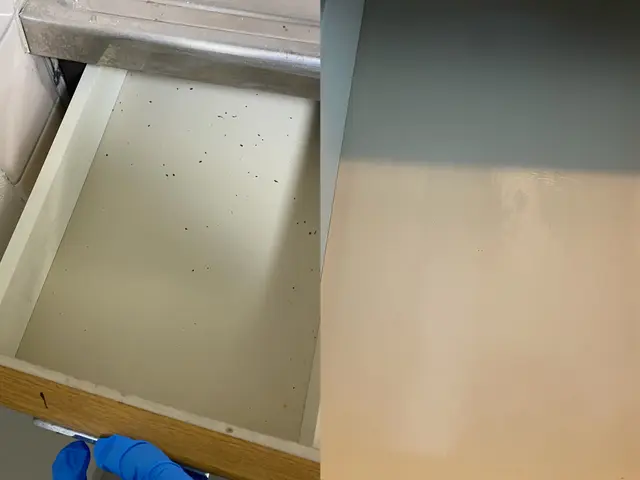 空室クリーニング【親切・丁寧・徹底洗浄】ごとお任せくださいサービスの画像