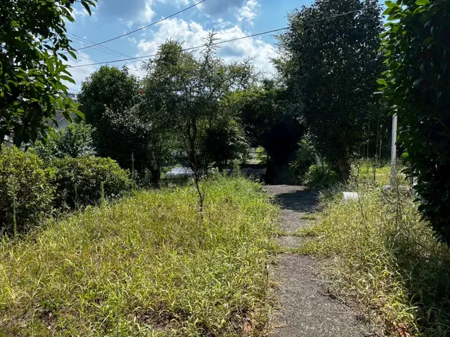 10月新出店◎丁寧で安心！細かく綺麗に仕上げる草刈り【伊東市】サービスの画像