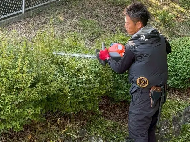 リピーター続出！丁寧で安心◎細かく綺麗に仕上げる草刈り【伊東市】サービスの画像