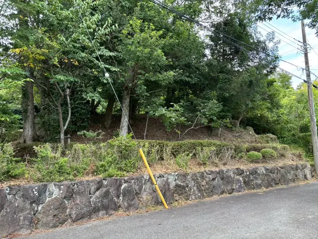 リピーター続出！丁寧で安心◎細かく綺麗に仕上げる草刈り【伊東市】サービスの画像