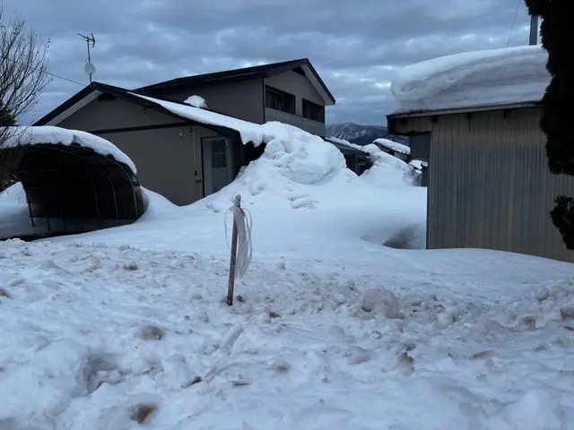 除排雪作業サービスの画像