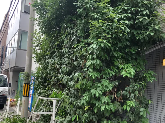 ★施工は当社スタッフ!!★プロの庭師が技術を提供します!!サービスの画像