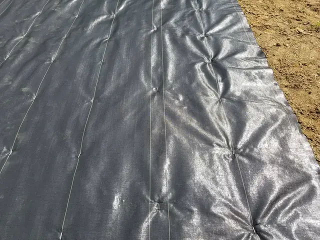 《職人二名でお伺いします》職人らしく丁寧さ・綺麗さにこだわって仕上げます。サービスの画像