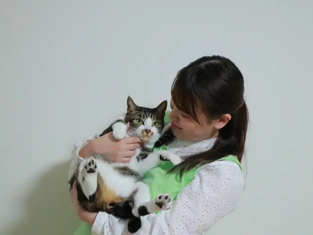 動物病院勤務10年以上の愛玩動物看護師による安心のお世話代行サービスサービスの画像