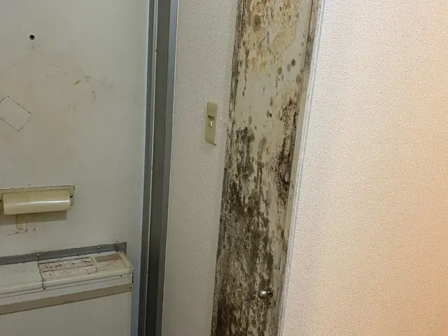 業界歴10年、年間700件以上の実績！丁寧な施工で安心のクリーニングサービスの画像