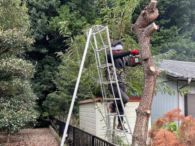 まずはお問い合わせにてご相談！早めの予防を！相談お待ちしております。サービスの画像