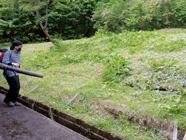 林業30年の経験者が行う、丁寧で迅速な草刈り！短く刈って、仕上がりを重視◎サービスの画像