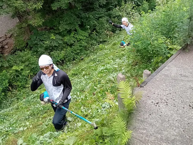 林業30年の経験者が行う、丁寧で迅速な草刈り！短く刈って、仕上がりを重視◎サービスの画像