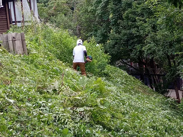 林業30年の経験者が行う、丁寧で迅速な草刈り！短く刈って、仕上がりを重視◎サービスの画像