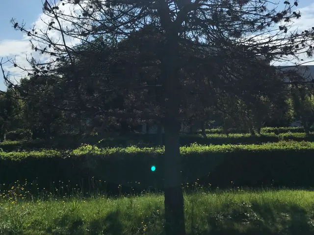 100％自社対応◎対象地域外・営業時間外もご相談歓迎！サービスの画像