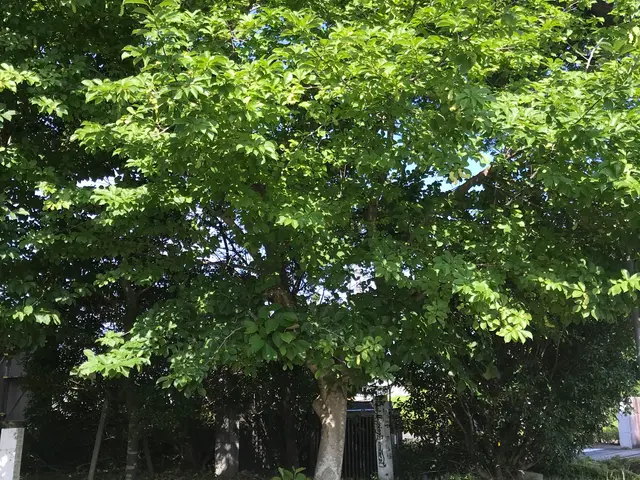 100％自社対応◎対象地域外・営業時間外もご相談歓迎！サービスの画像