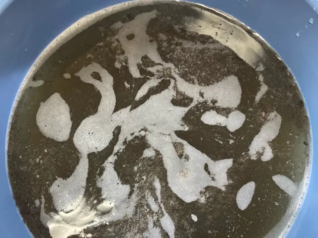 100%自社対応のエアコンクリーニング！作業品質ときめ細かいサービスに自信あり！サービスの画像