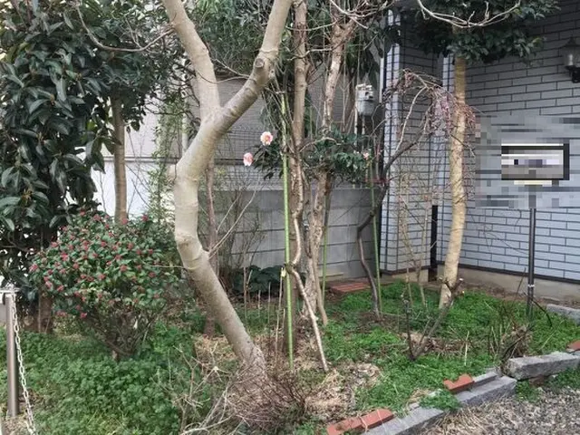 草むしりでスッキリ！【挨拶と笑顔を基本としています】お仕事の予約受付可能☆サービスの画像