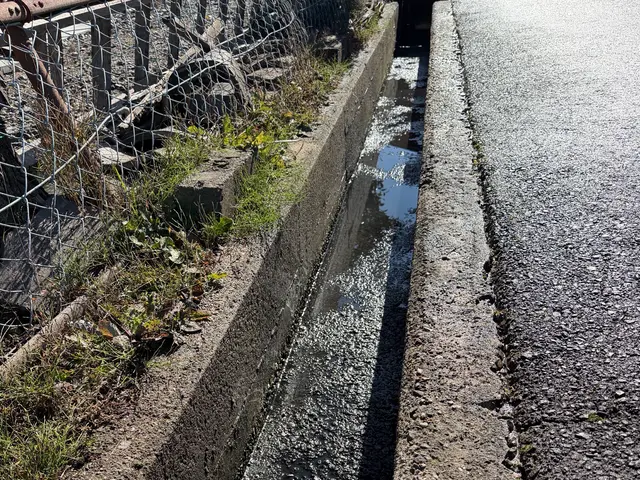 年中無休★スピード返信★サービスの画像