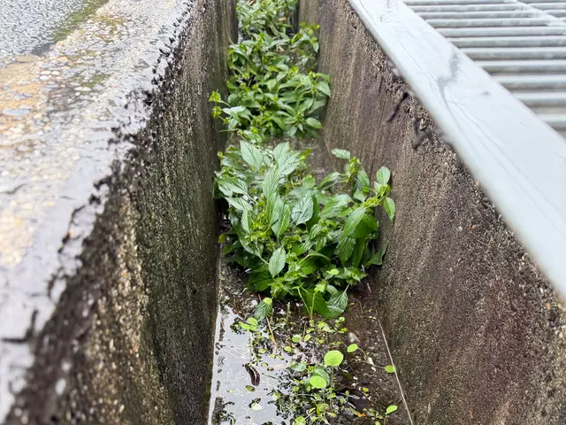 年中無休★２４H対応サービスの画像