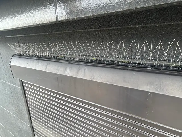 鳩駆除・鳩対策【対応地域外も相談OK】サービスの画像