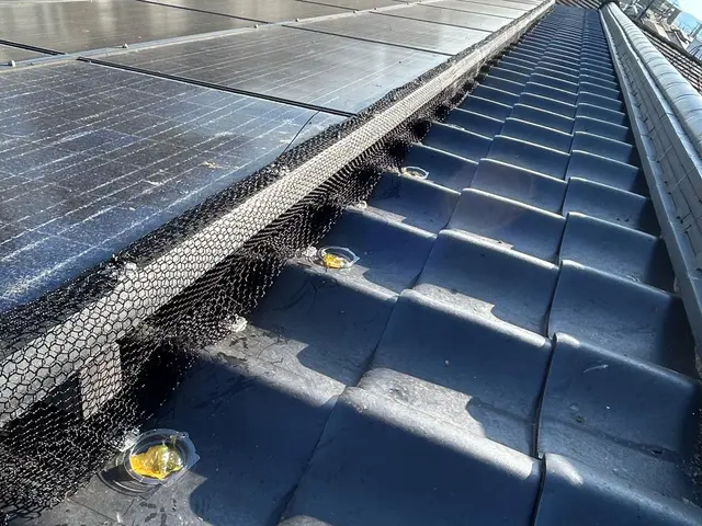 鳩駆除・鳩対策【対応地域外も相談OK】サービスの画像