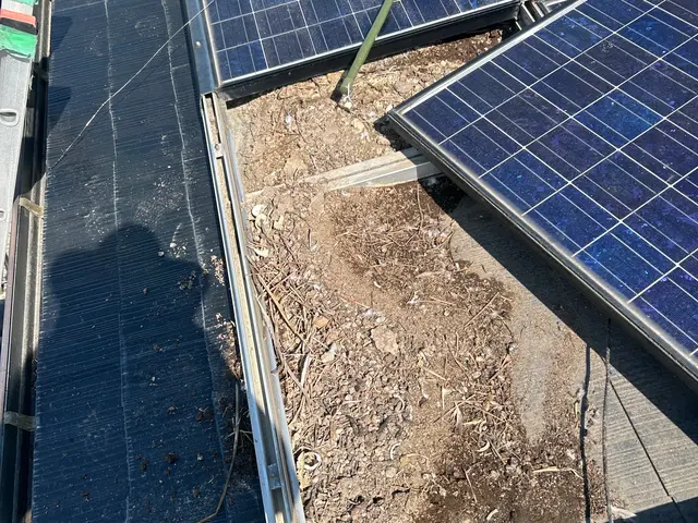 鳩駆除・鳩対策【対応地域外も相談OK】サービスの画像