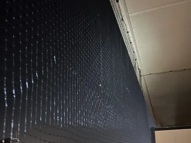 鳩駆除・鳩対策【対応地域外も相談OK】サービスの画像