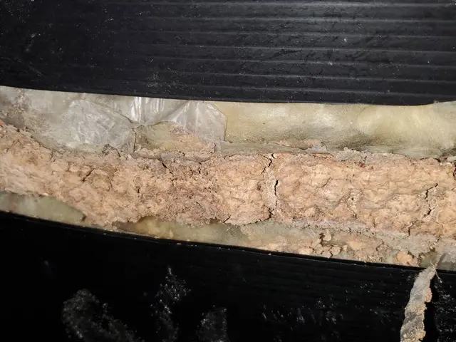 シロアリのことなら是非、当社にお任せください。迅速、丁寧に対応致します。サービスの画像